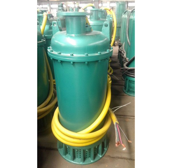 防爆排污泵(beng) 防爆排污泵