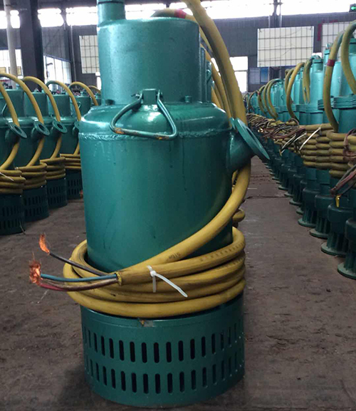 防爆排污泵(beng)圖片 防爆排污泵(bèng)圖片